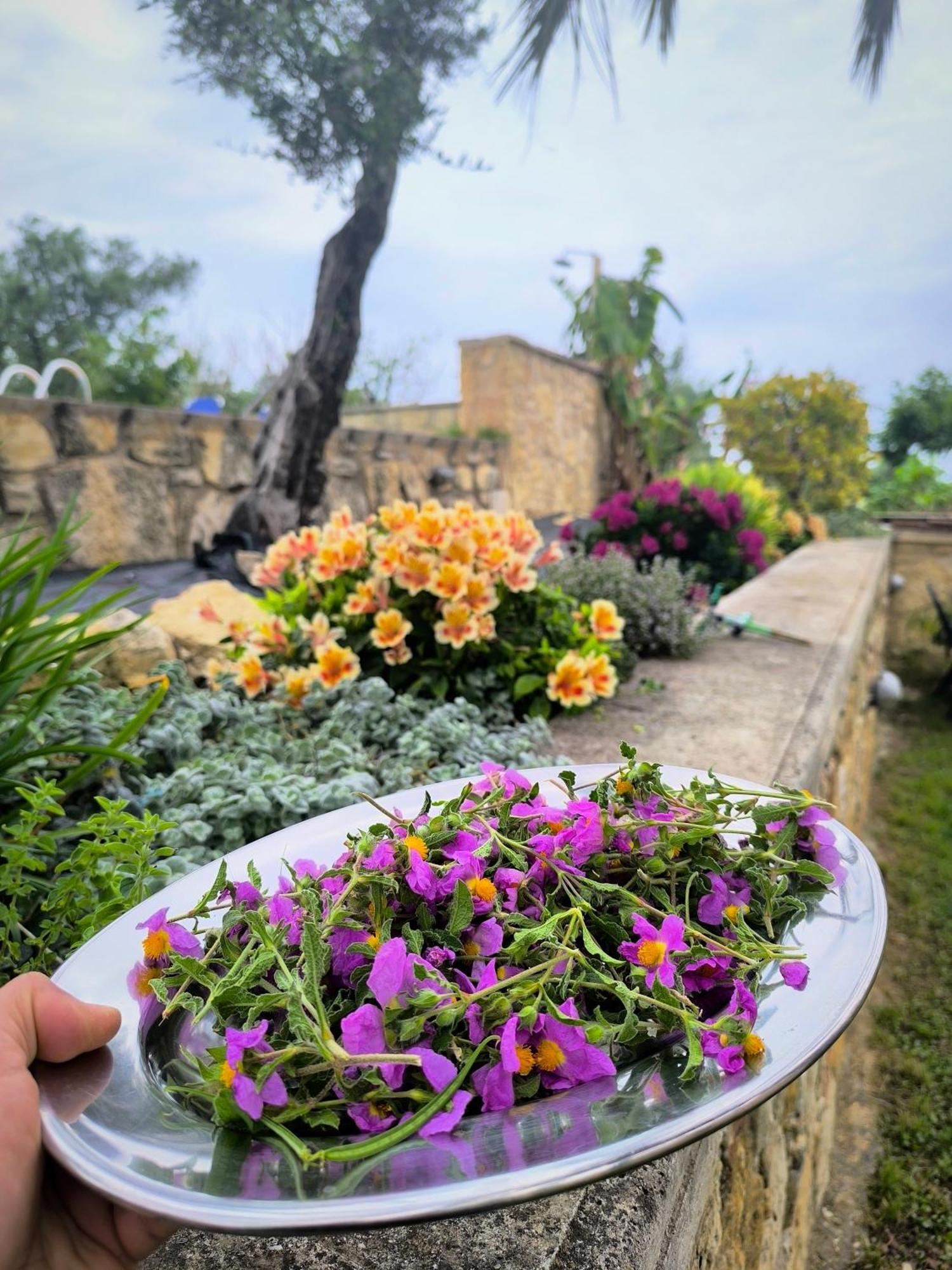 Villa Koulouridi Daratsos Extérieur photo
